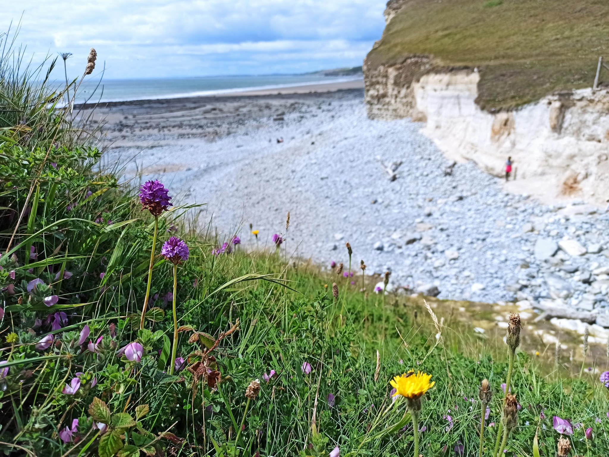 Heritage coast (c) Rose Revera