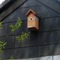 nest box