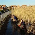 Pond restoration work