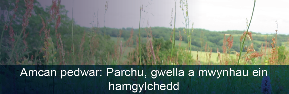 Amcan pedwar: Parchu, gwella a mwynhau ein hamgylchedd