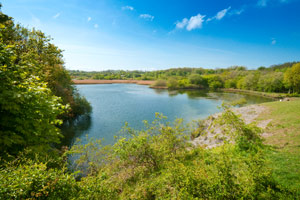 Cosmeston-Lakes-Country-Park