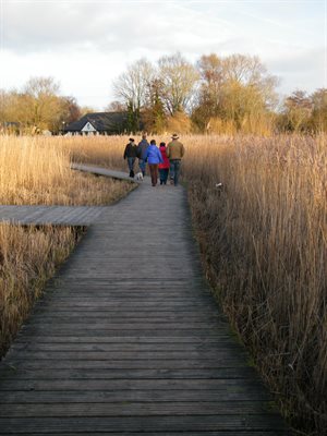 Boardwalk at Cosmeston