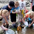 rock-pooling