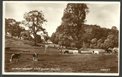 cwm ciddy house postcard