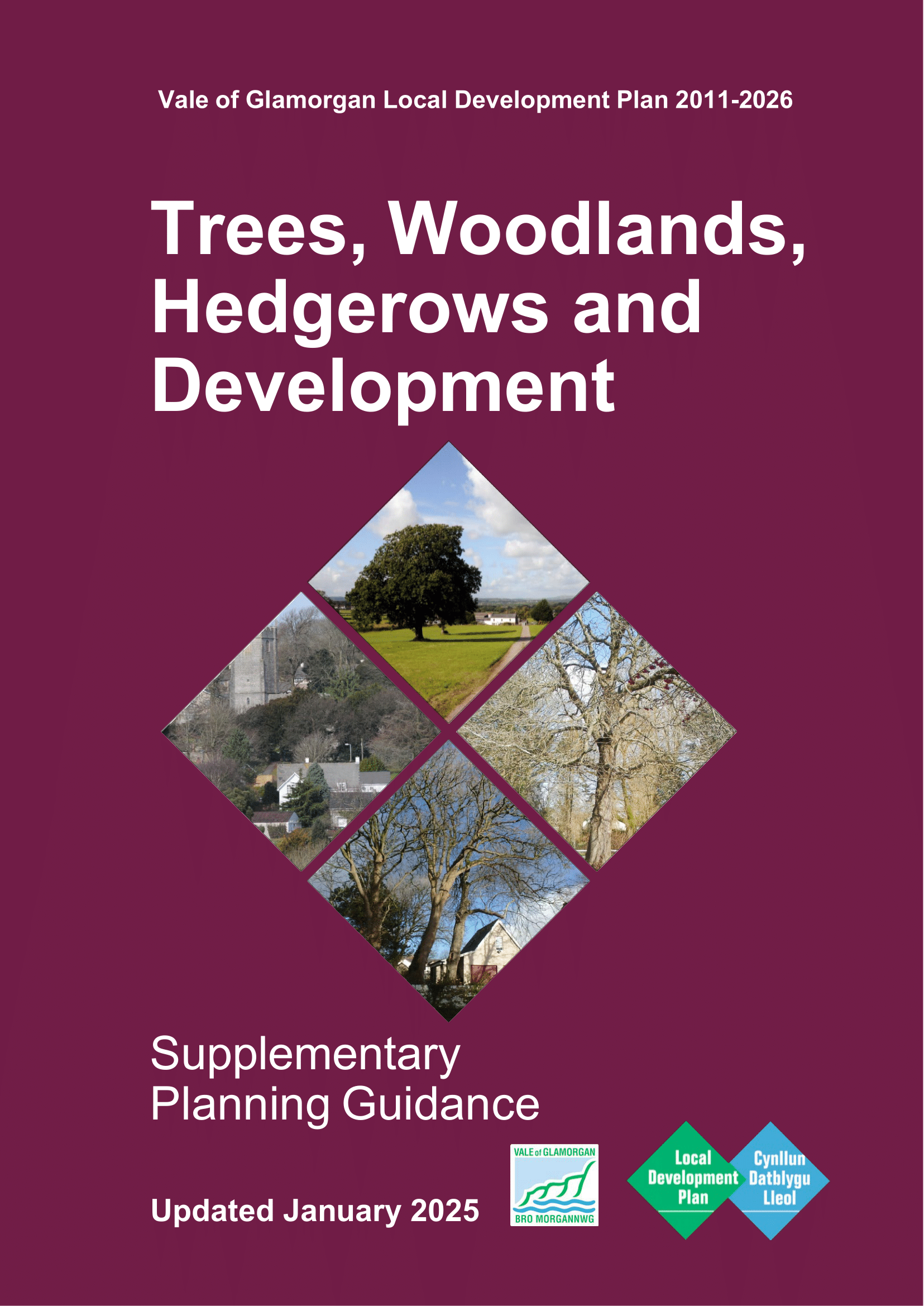 Final-Trees-Woodlands-Hedgerows-and-Development-SPG-2025-01