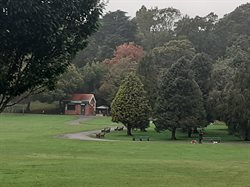 Concession at Romilly Park for hot and cold drinks and associated snacks